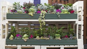 huerto-2-alturas-palets-blancos