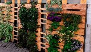 palets-huerto-urbano-vertical